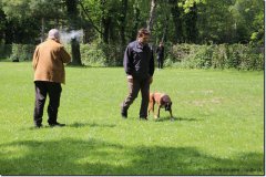 bild039