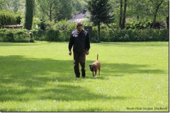 bild040
