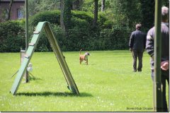 bild041