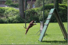 bild042