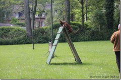 bild043