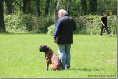 bild050