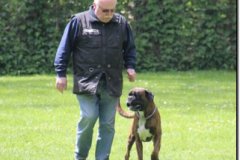 bild051