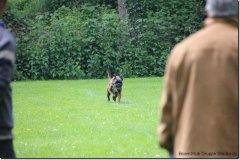 bild053