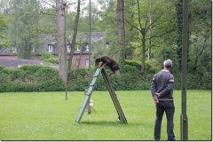 bild057