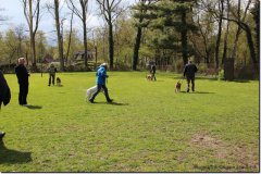 bild002