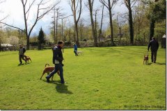 bild004