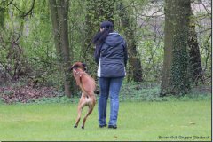 bild010