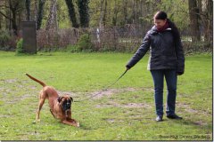bild021