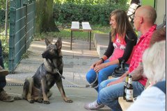 bild035