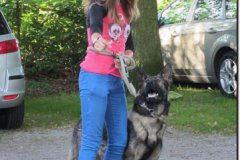 bild038