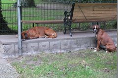 bild039