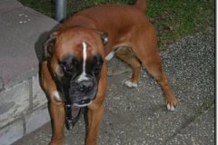 bild049