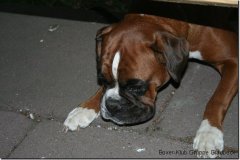 bild050