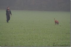 herbst2013_06