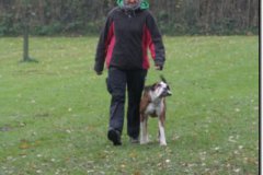 herbst2013_25