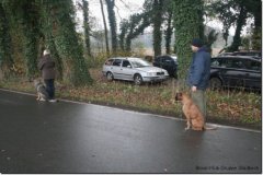 herbst2013_36