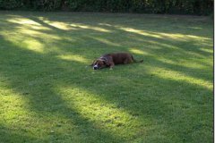 bild028
