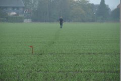 herbst-2014_03