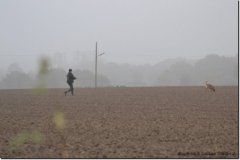 mattes-herbst14_04