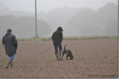 mattes-herbst14_07