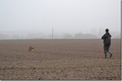 mattes-herbst14_11
