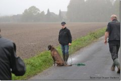 mattes-herbst14_14