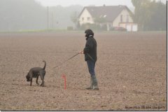 mattes-herbst14_20