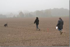 mattes-herbst14_21