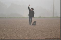 mattes-herbst14_22