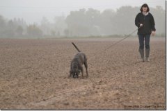 mattes-herbst14_23