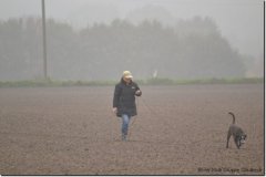 mattes-herbst14_25