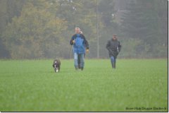 mattes-herbst14_31