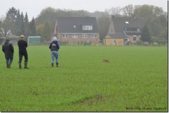 mattes-herbst14_34