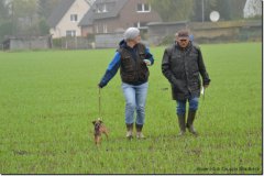 mattes-herbst14_37