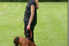 img_0452