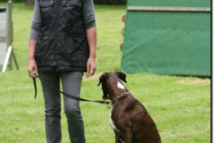 img_0453