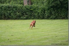 img_0461