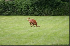 img_0463