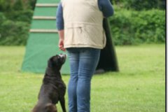 img_0475