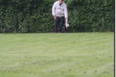 img_0531