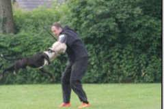 img_0532