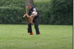 img_0540