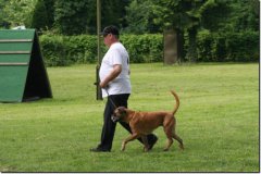 img_0426