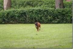 img_0451