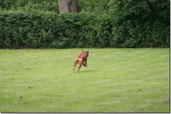 img_0461