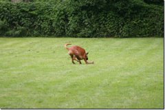 img_0463
