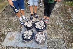 IMG-20230828-WA0003