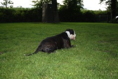 IMG-20230828-WA0018