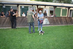 IMG-20230828-WA0033